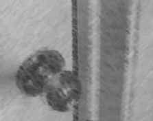 a doorknob on a closed door