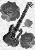 14K Illustration, Roses and Guitar