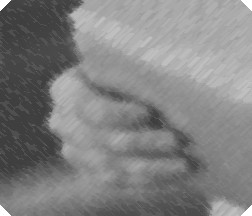 a hand holding a package