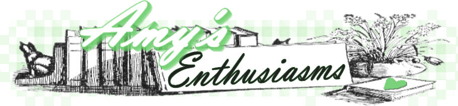 Amy's Enthusiasms