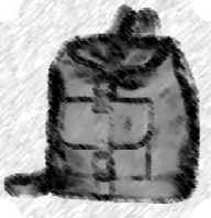 a backpack