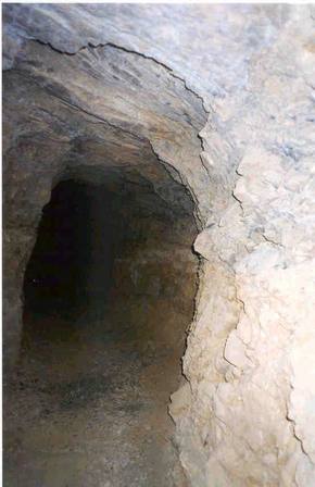 Click on image for larger version