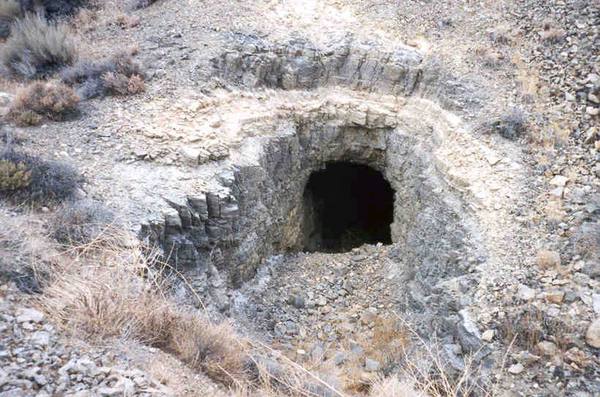 Click on image for larger version