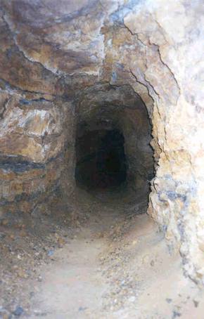 Click on image for larger version