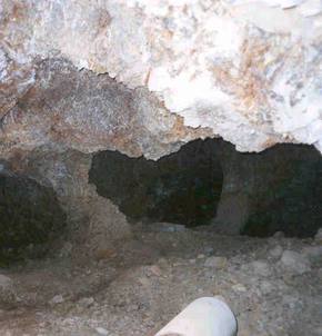 Click on image for larger version