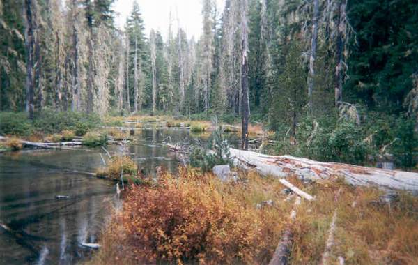 Click on image for larger version