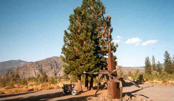 Click on image for larger version