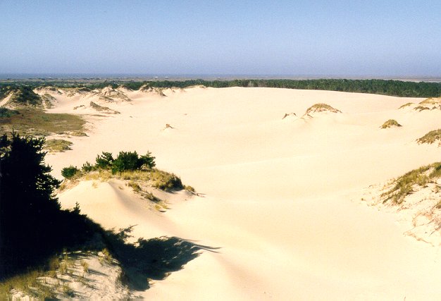 Click on image for larger version