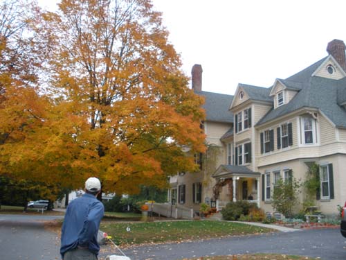 5a_wainwright_inn_great_barrington_berkshires