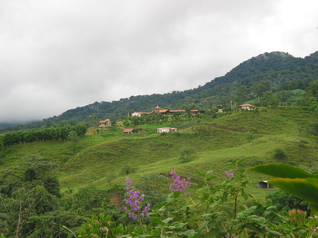 Arenal community