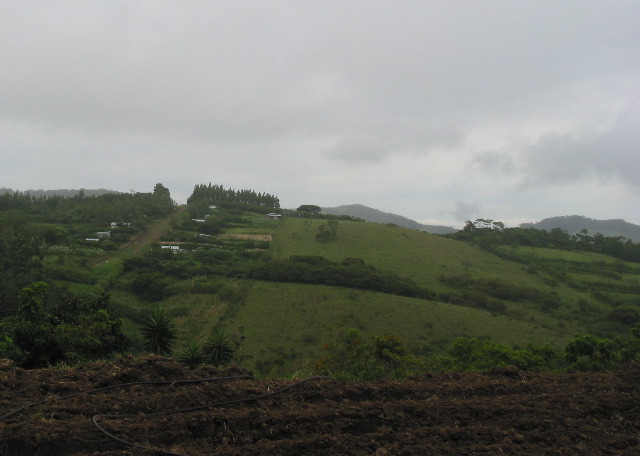 Monteverde farms