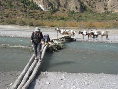 11.4.01 Kali Gandaki bridge