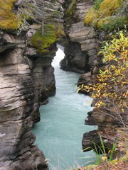 Athabasca River cutting through limestone