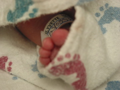 Toes