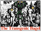 the transgenic bagel