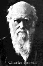 Darwin portrait