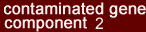contaminated gene component 2