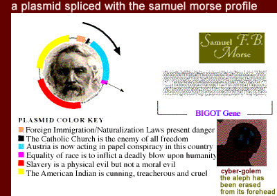 a plasmid spliced with the samuel morse profile
