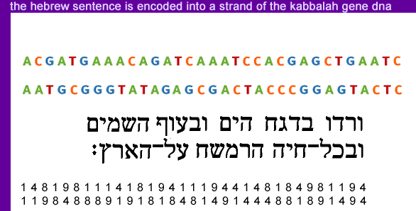 the hebrew sentence is encoded into a strand of the kabbalah gene dna