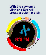 With the new gene...