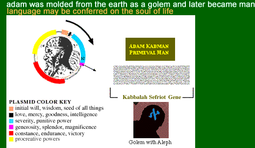 adam was molded from the earth as a golem and later became man