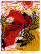 Icarus